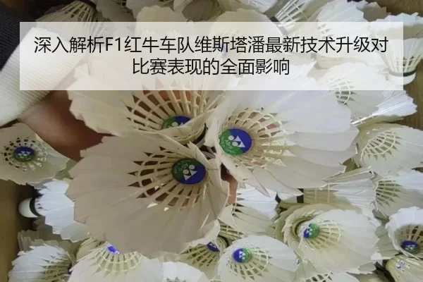 深入解析F1红牛车队维斯塔潘最新技术升级对比赛表现的全面影响 - KAIYUN